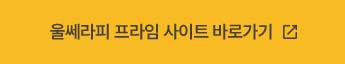 울쎄라피 프라임 사이트 바로가기